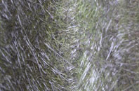 Ingbirchworth fibreglass roof work