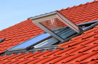 Ingbirchworth roof window